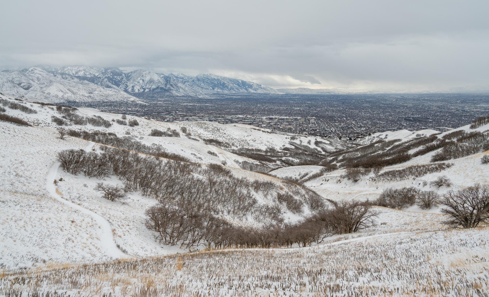View of Salt Lake Valley from avenues Twin Peaks trail.
