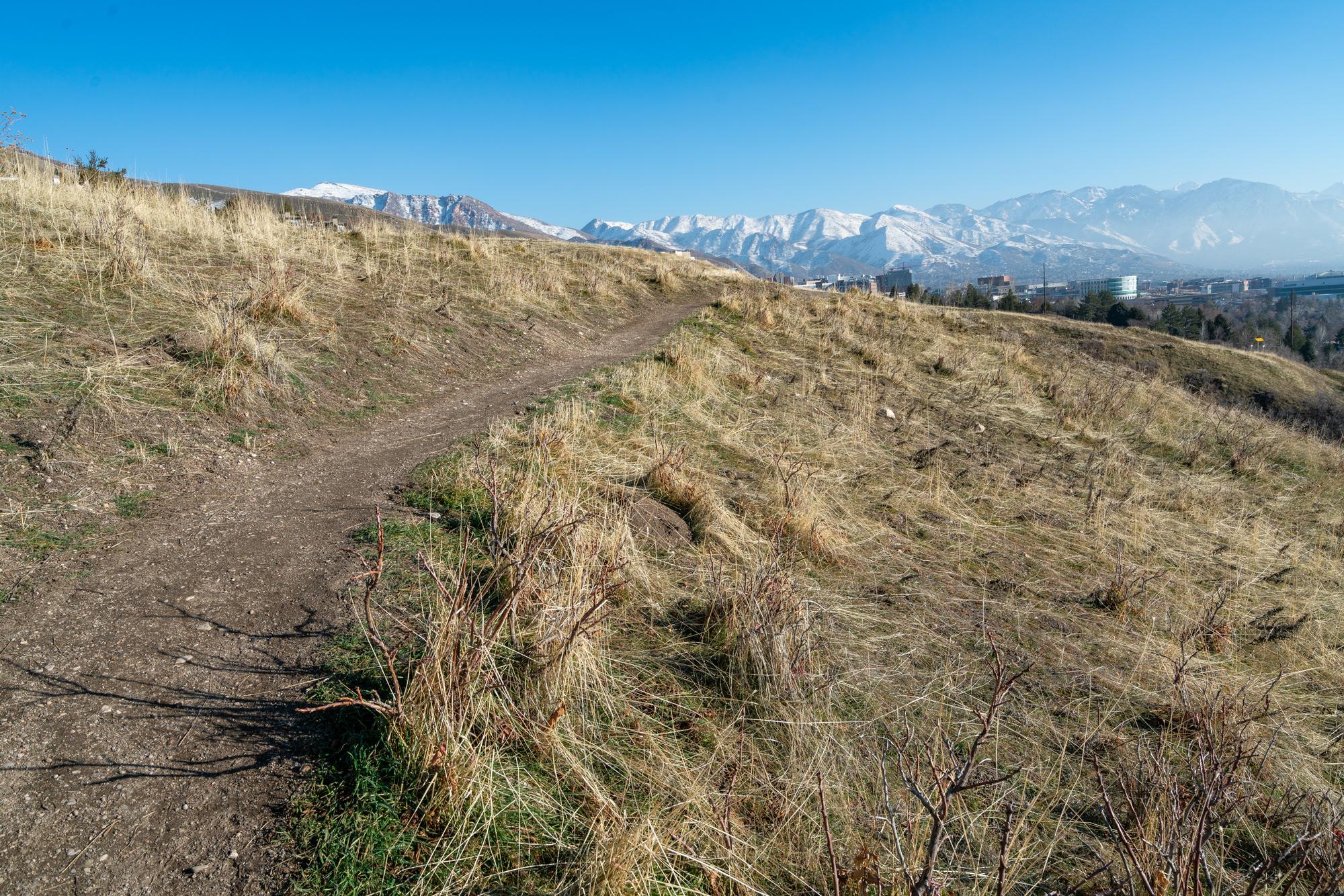 Winding trail of West Popperton Hiking Loop with Wasatch Mountains in the background.