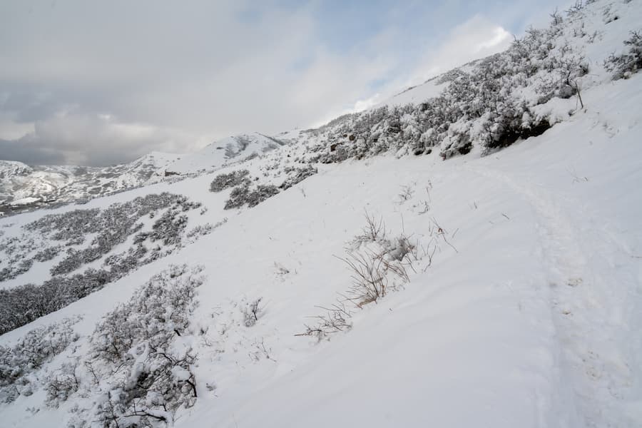 Snow-covered Avenues Ridge Trail switchbacks.